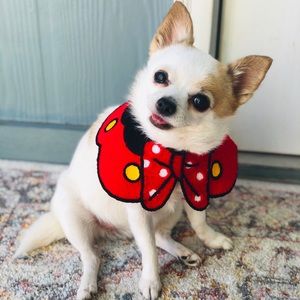 Pet Neck Accessories. (Large)